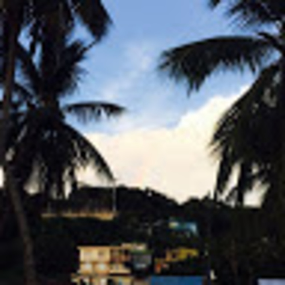 Meet your Posher, Silvia